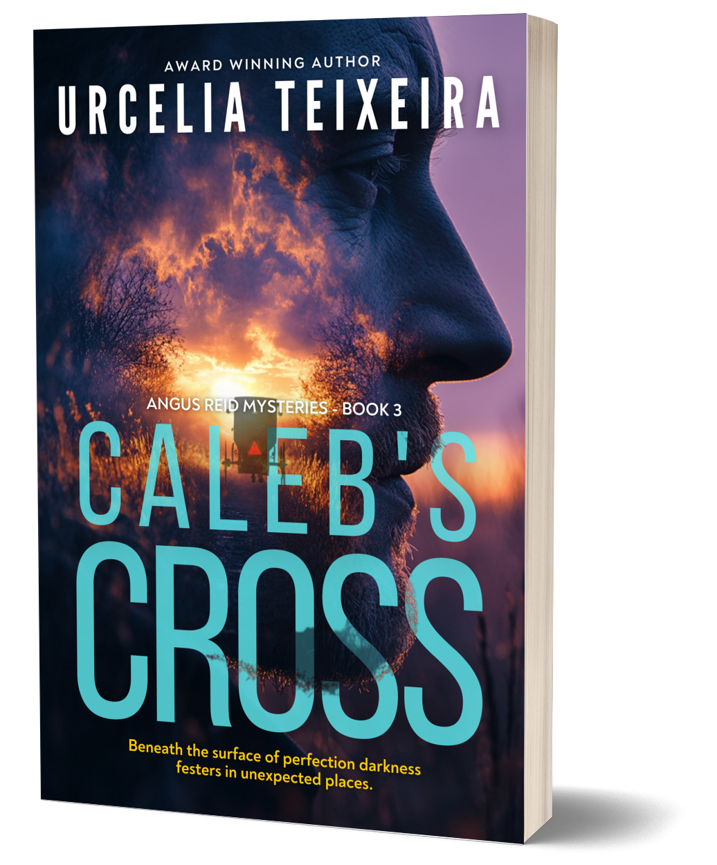 Caleb's Cross - Angus Reid Mysteries Book 3 (Paperback)